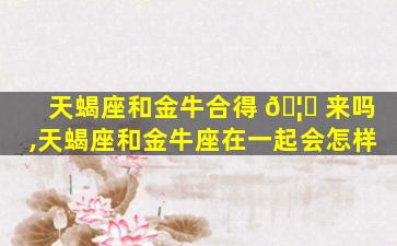 天蝎座和金牛合得 🦈 来吗,天蝎座和金牛座在一起会怎样